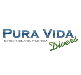 pvd_logo